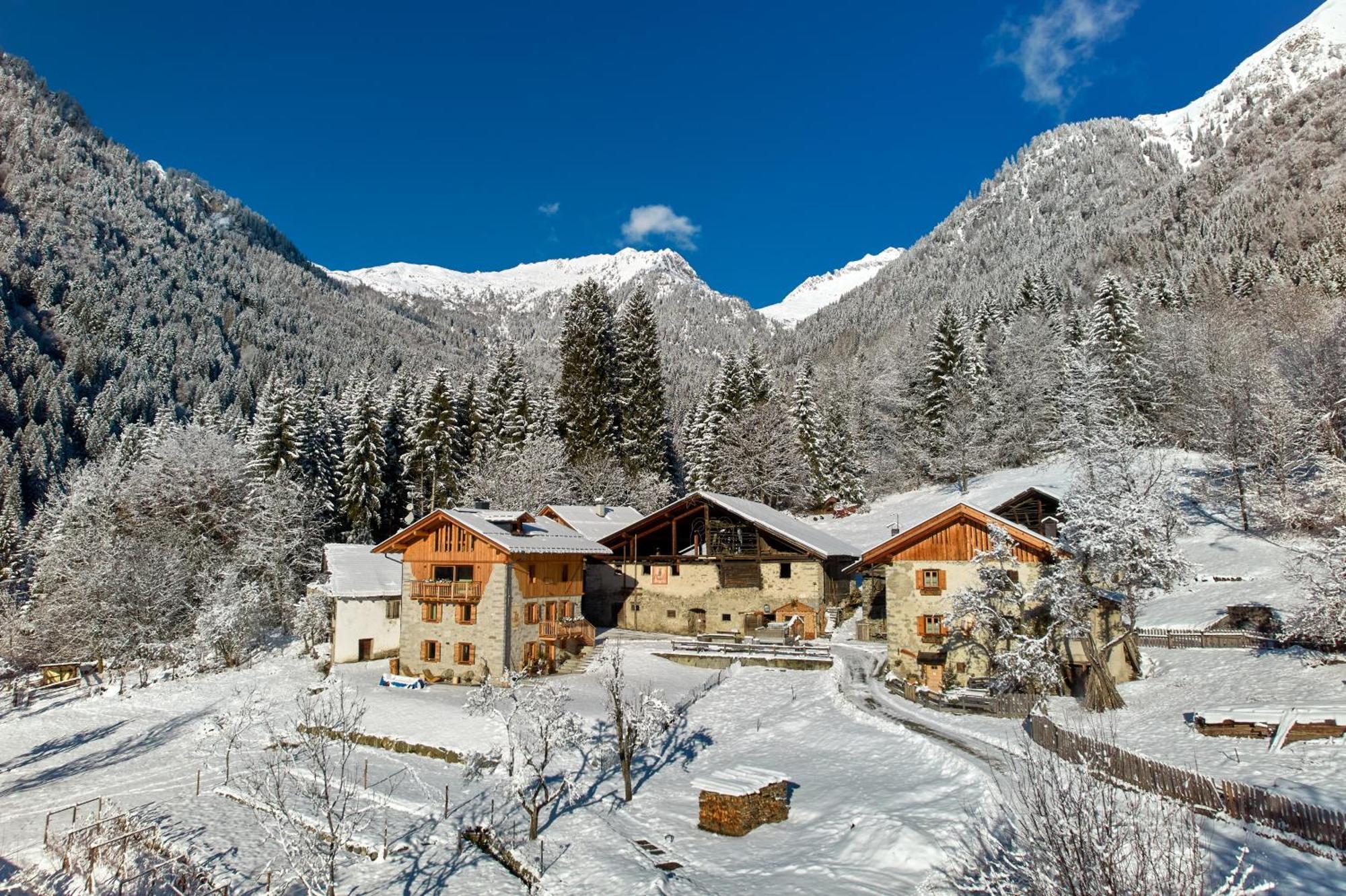 Pimont Alpine