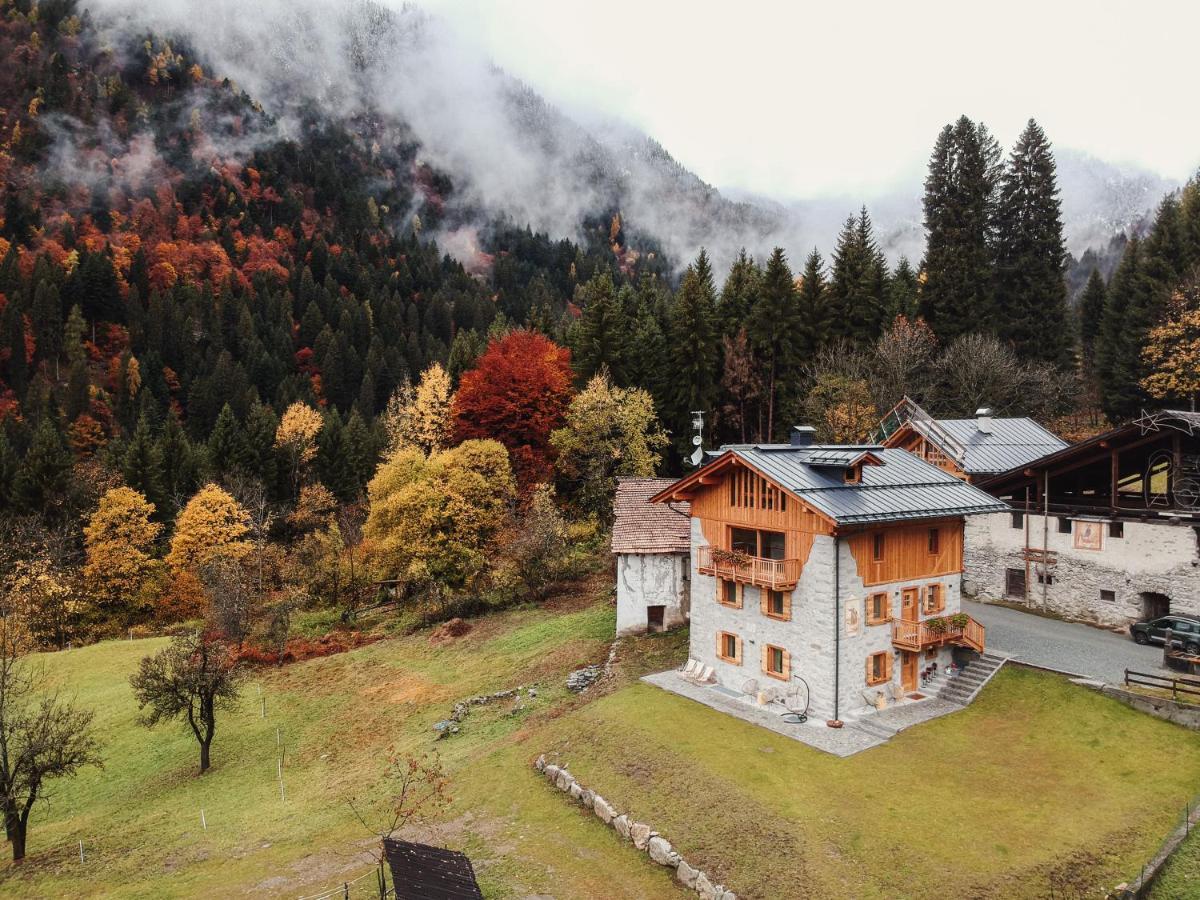 Pimont Alpine * Madonna di Campiglio